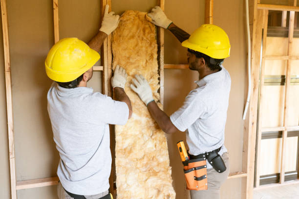 Best Attic Insulation Installation  in Palmyra, NJ